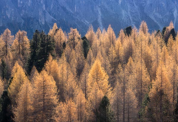 Fine-Art-Photography-Award-3th-Edition---Federico-Antonello-0008