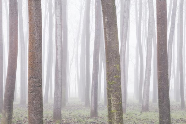 Fine-Art-Photography-Award-3th-Edition---Federico-Antonello-0009