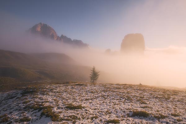 Honorable Mention Ipoty 2017 - 0004