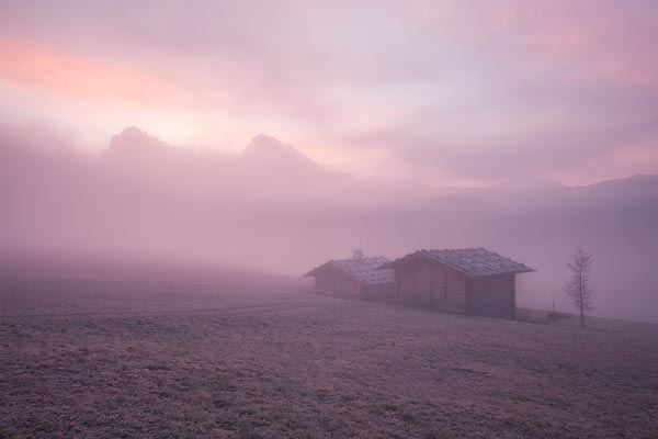 Honorable Mention Ipoty 2017 - 0006
