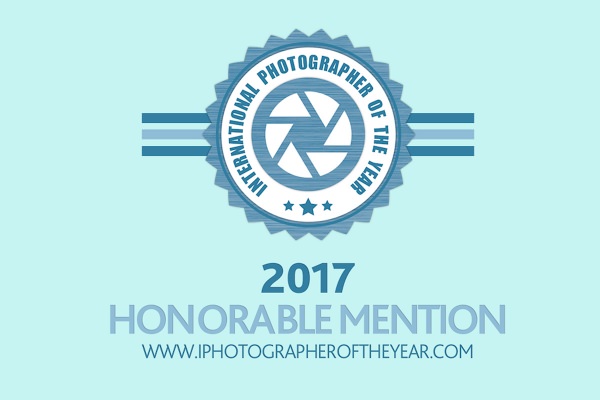ipoty_2017_honorable mention