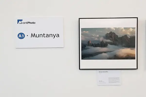 Federico Antonello photograph exhibited through MontPhoto international nature photography competition