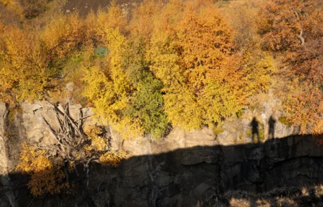 Shadows of two travellers projected onto autumn trees and rock formations during a shared outdoor experience.